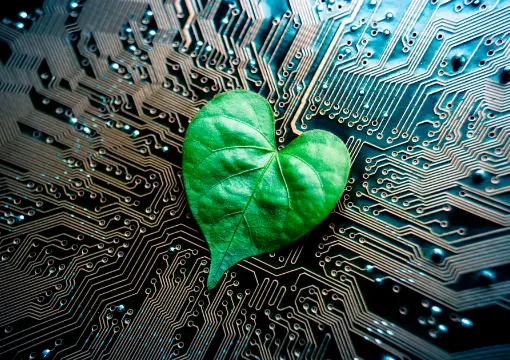 澳门新葡京娱乐场案例